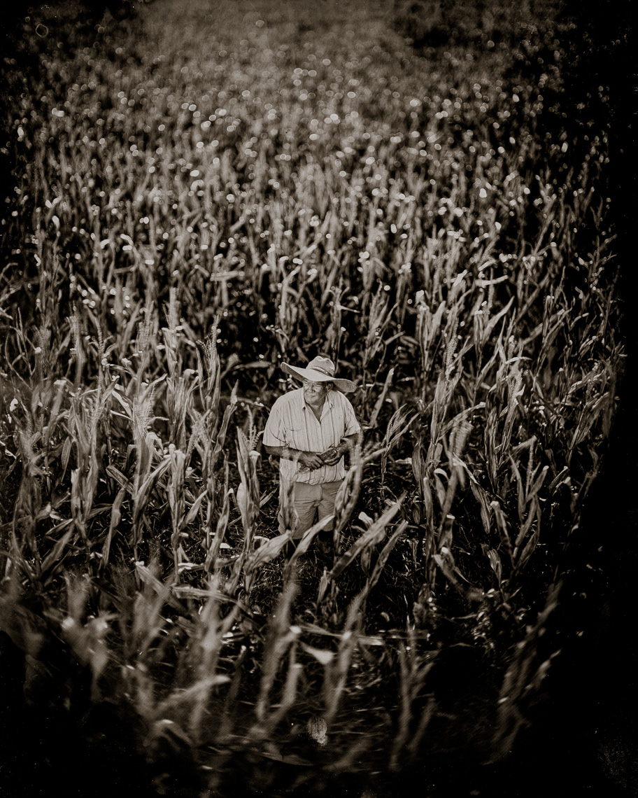 Patrick-Cavan-Brown-Tintype-Wetplate-01-Farmer-Corn