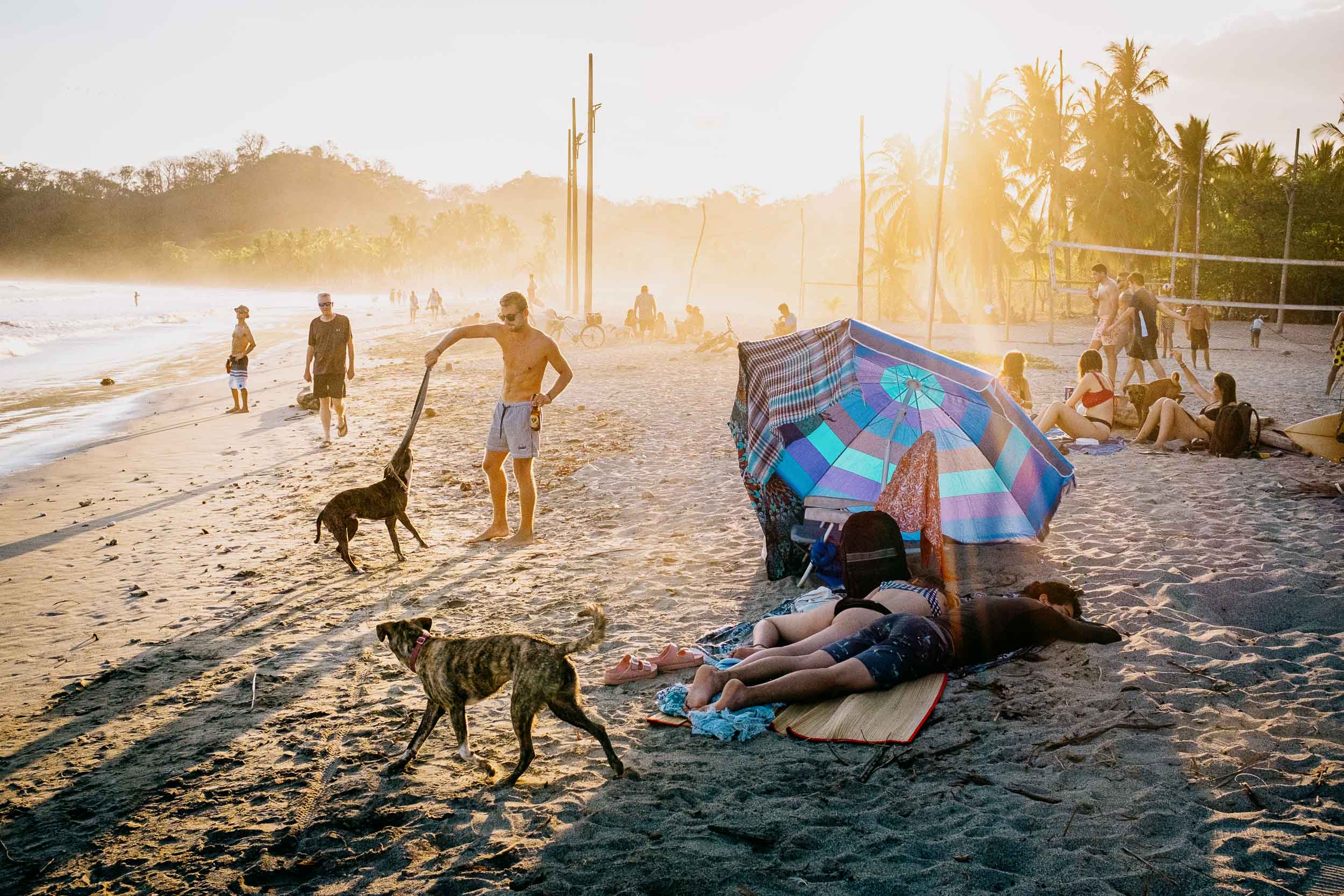 beach life samara costa rica dogs sunset