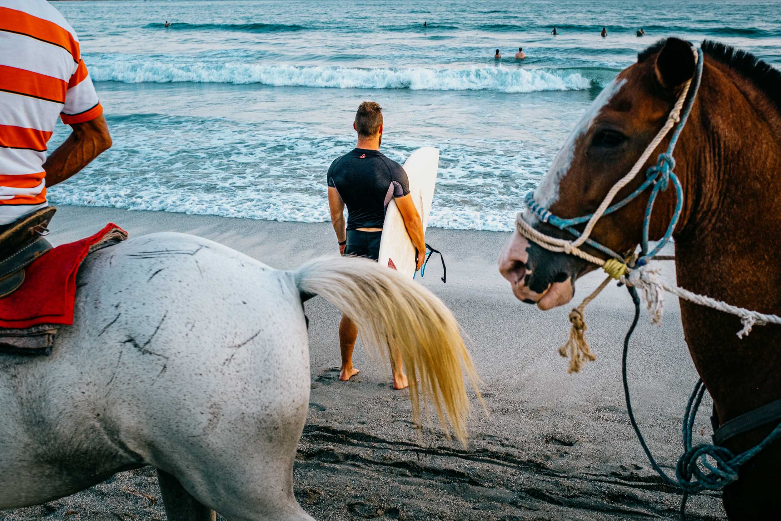 samara costa rica surfer and horses on beach