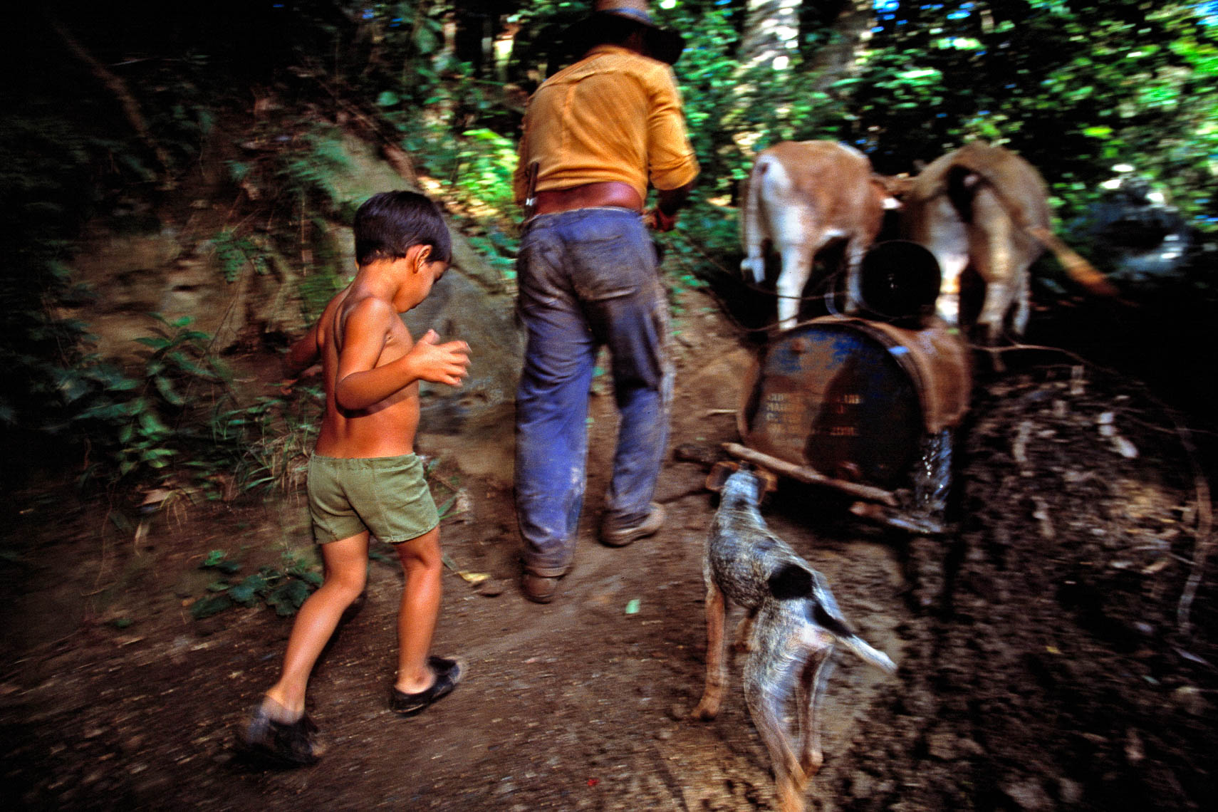 cuban boy and his father bring water from river 