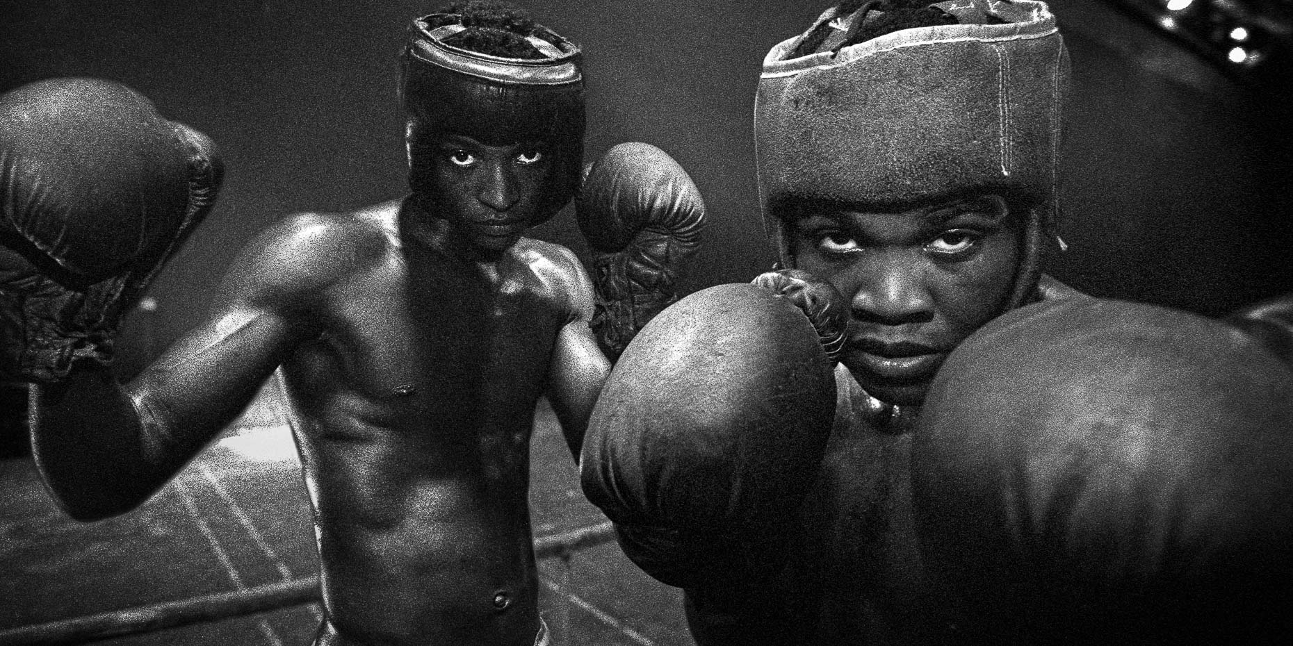 cuba cuban box boxers havana fight