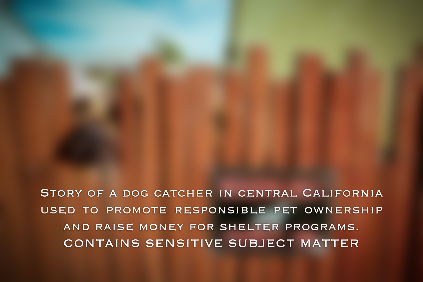 patrick_cavan_brown_dog_catcher_pound_animal_control-cover-photo
