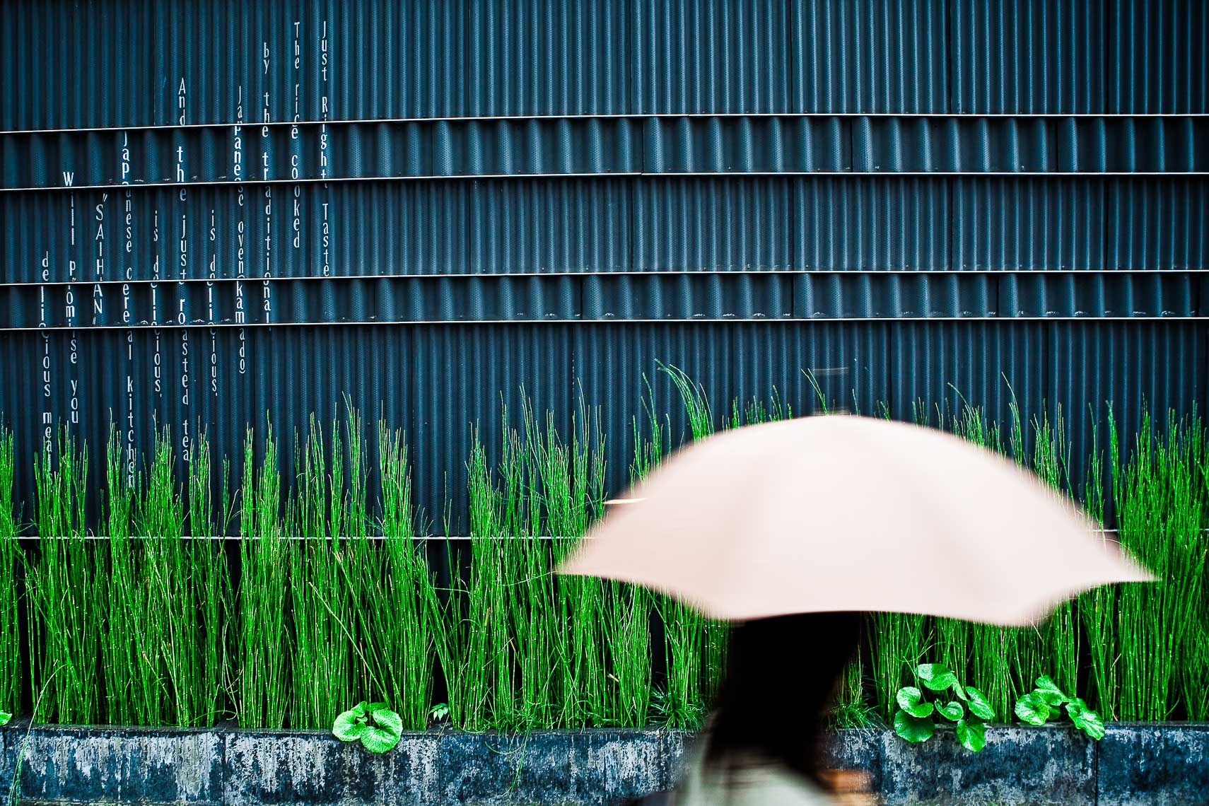 woman with umbrella in nagoya japan