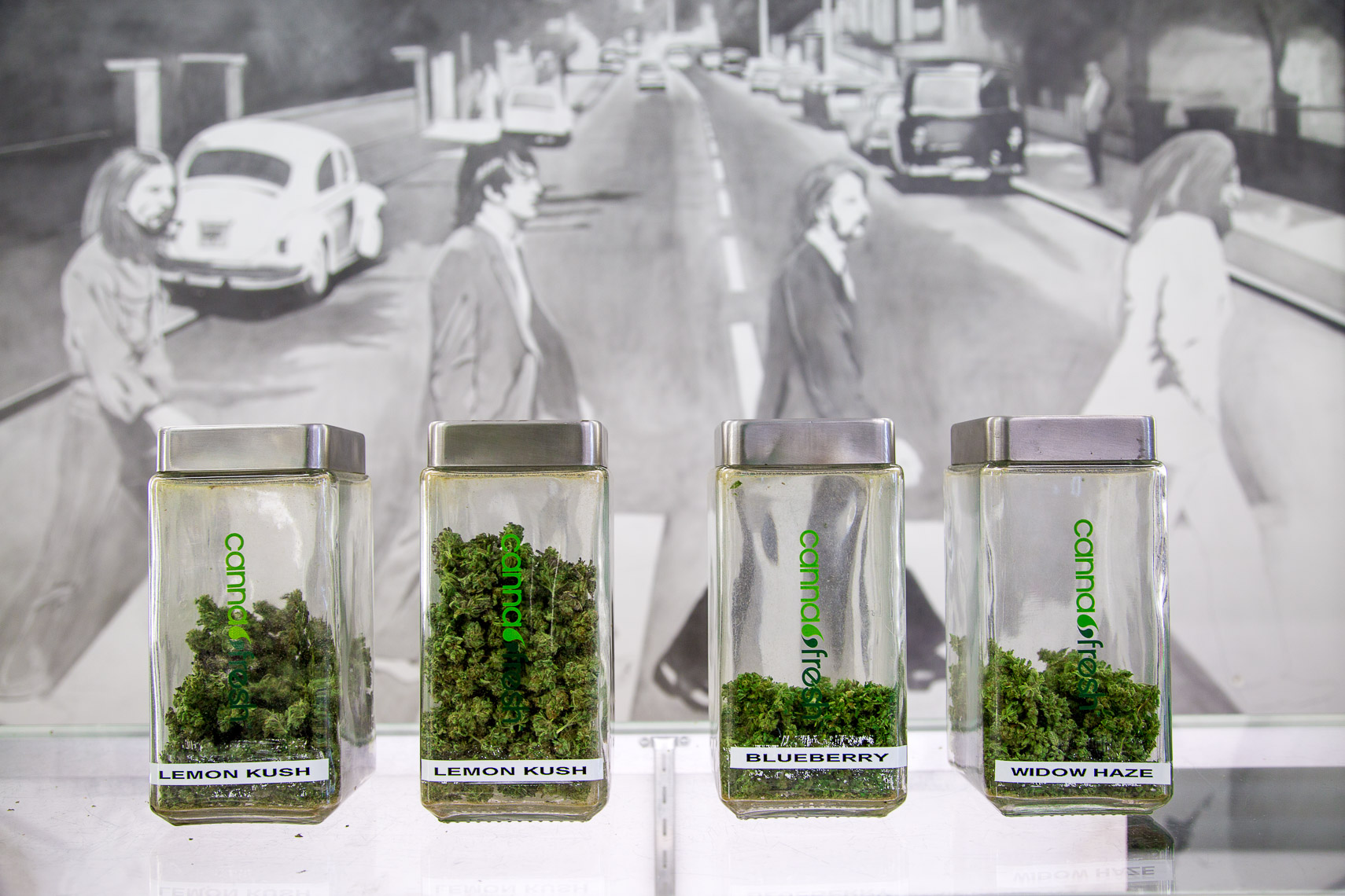 Marijuana on display at Nature