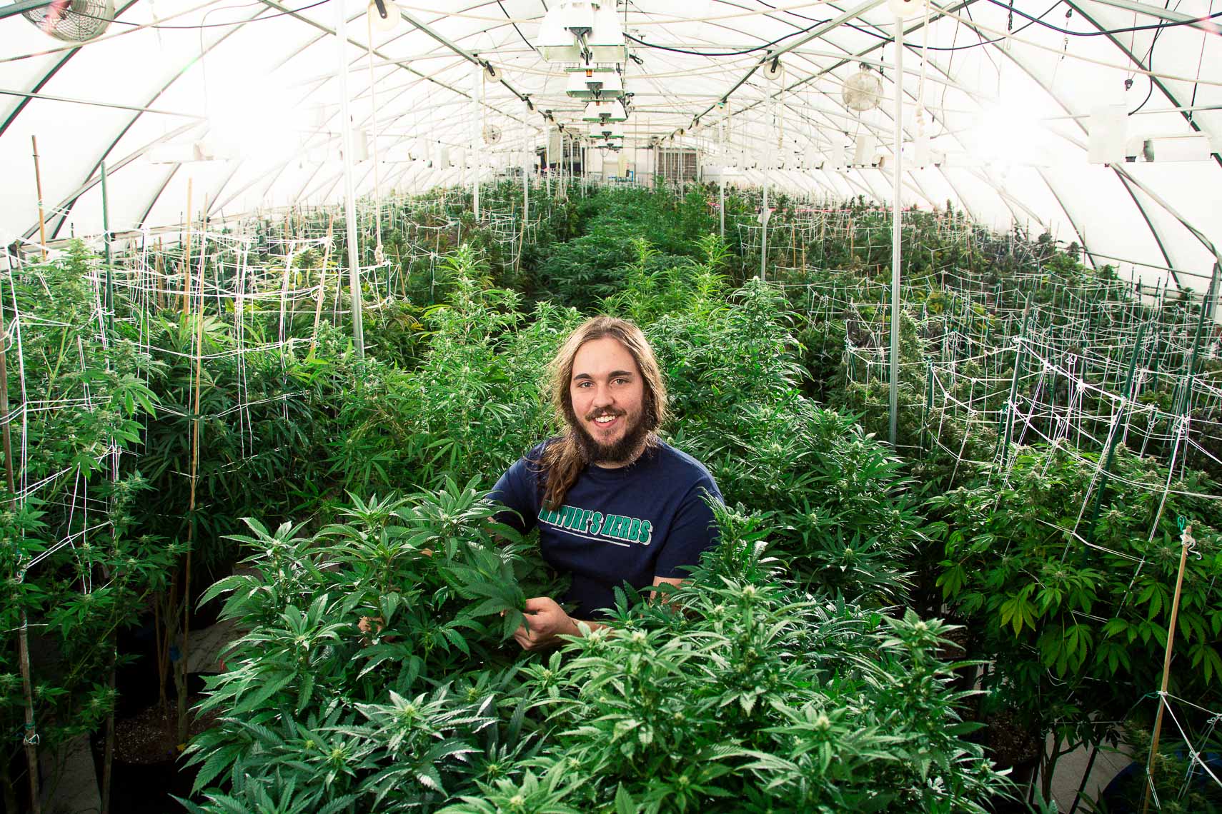 portrait of tucker eldridge of natures herb and wellness in the greenhouse growing legalized recreational marijuana cannabis