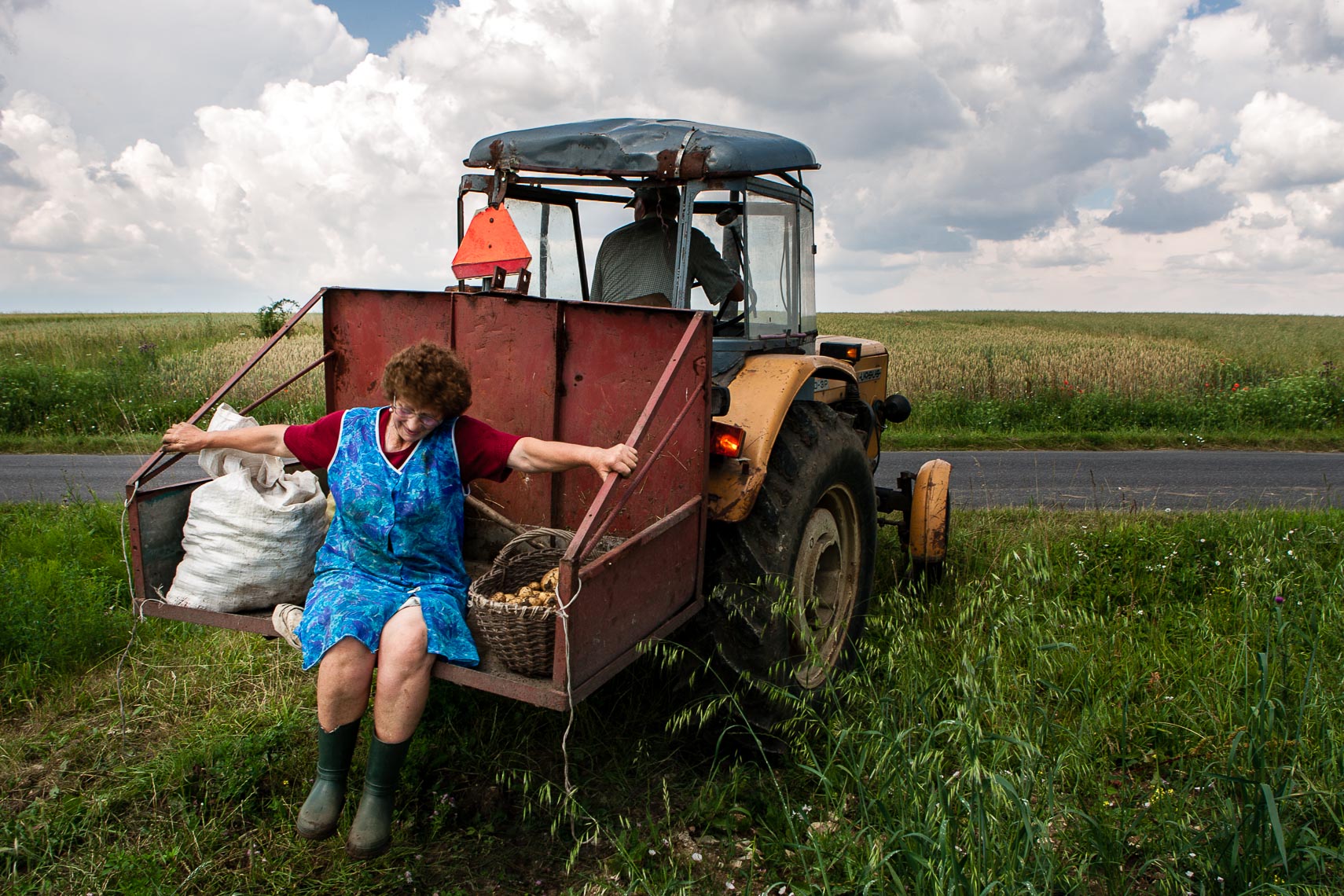 woman picks potatoes on farm in poland tractor